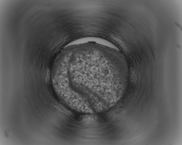 X0000091480077200709131820