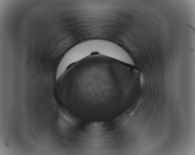 X0000091480080200709131820