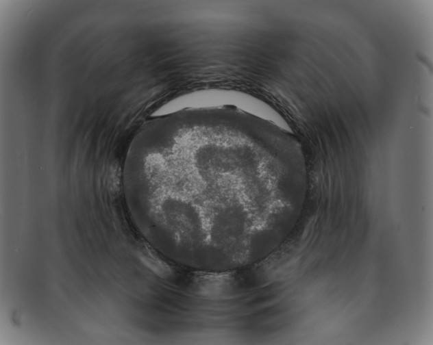 X0000091480081200709131820