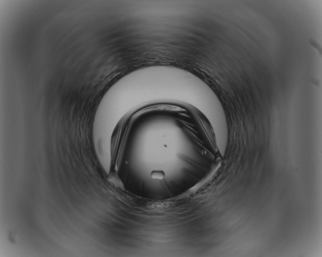 X0000091480084200709131820