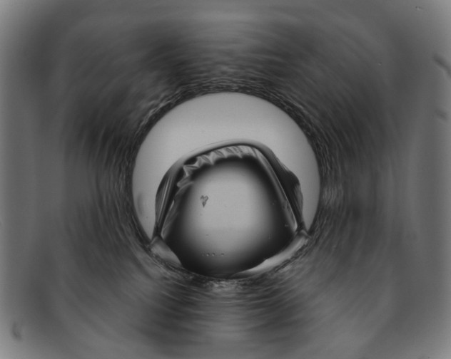 X0000091480088200709131820