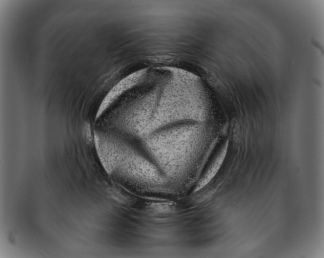 X0000091480089200709131820