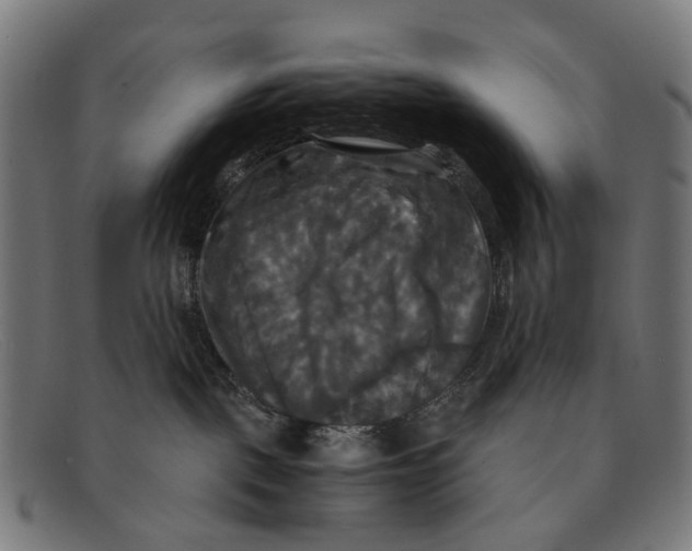 X0000091480093200709131820