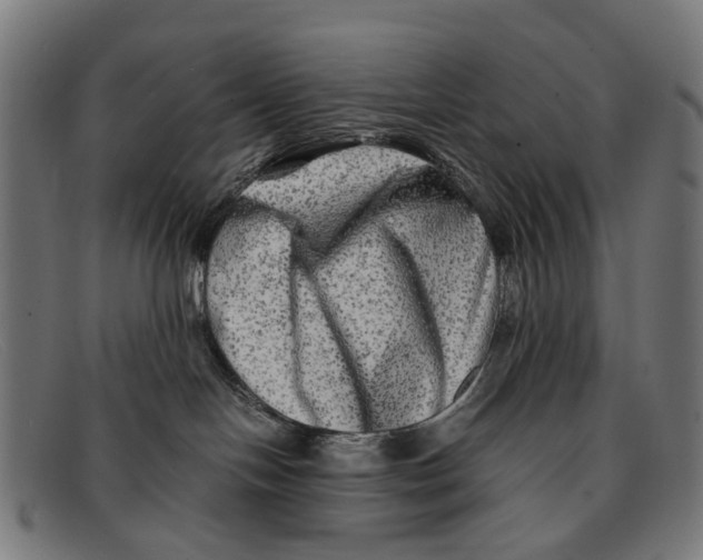 X0000091480094200709131820