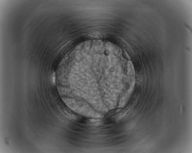 X0000091480095200709131820