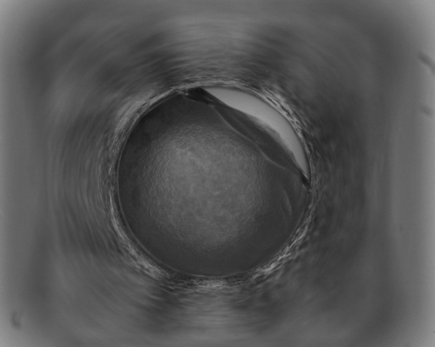 X0000091480097200709131819