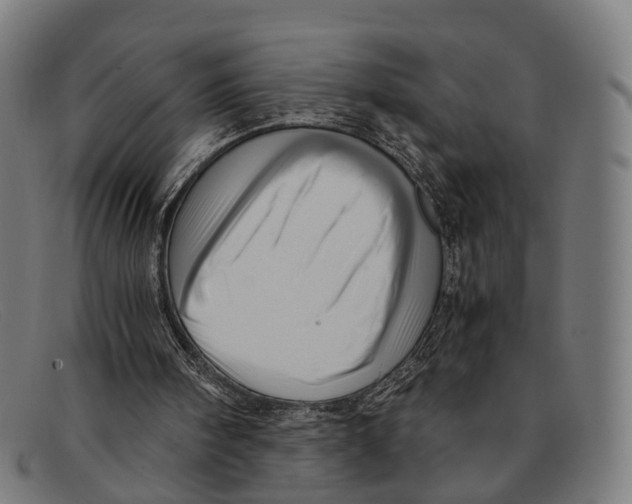 X0000091480098200709131819