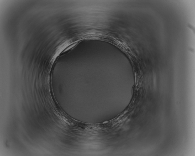 X0000091480099200709131819