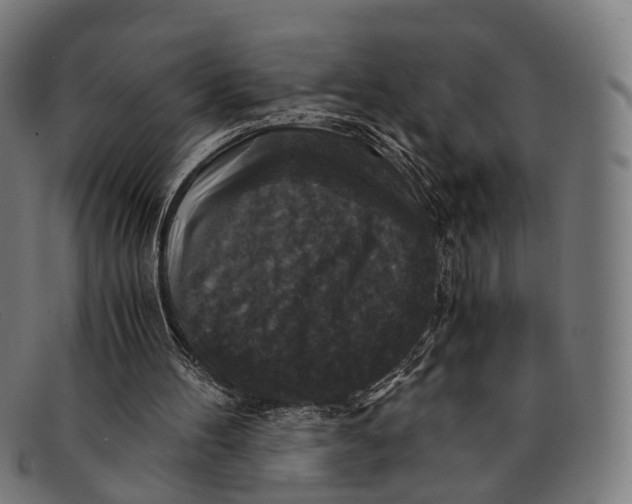 X0000091480100200709131819