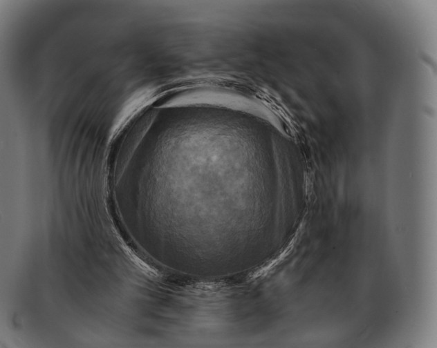 X0000091480101200709131819