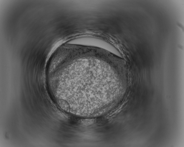 X0000091480102200709131819