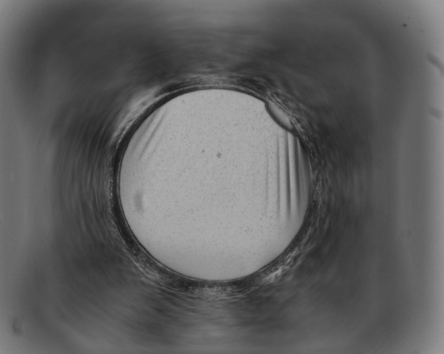 X0000091480103200709131819