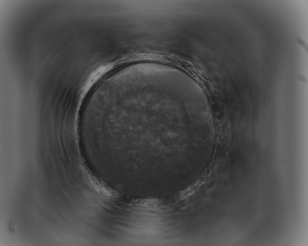 X0000091480104200709131819