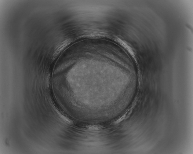 X0000091480105200709131819