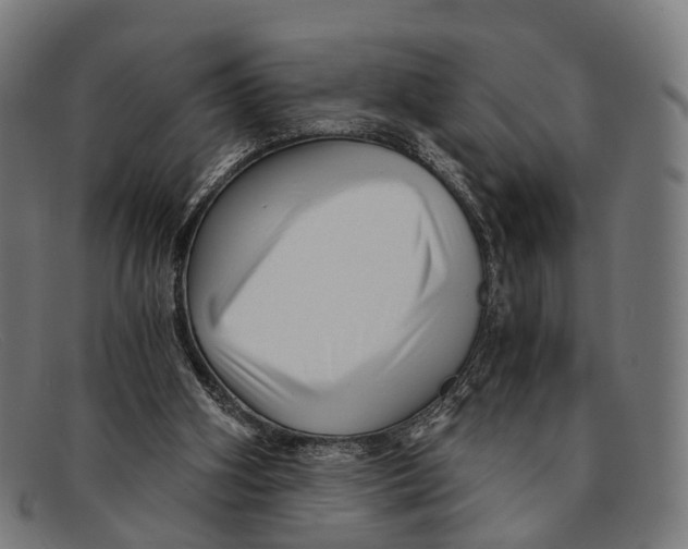 X0000091480106200709131819