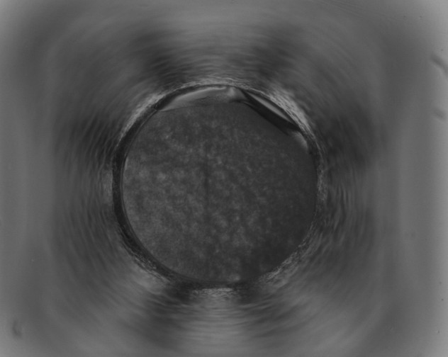 X0000091480108200709131819