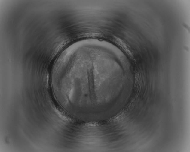 X0000091480110200709131819