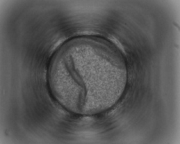 X0000091480111200709131819