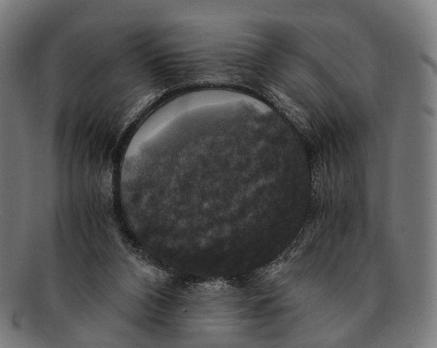 X0000091480112200709131819