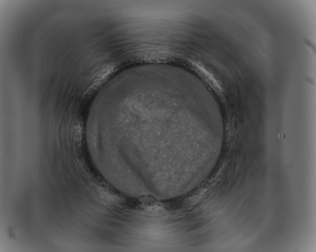 X0000091480113200709131819