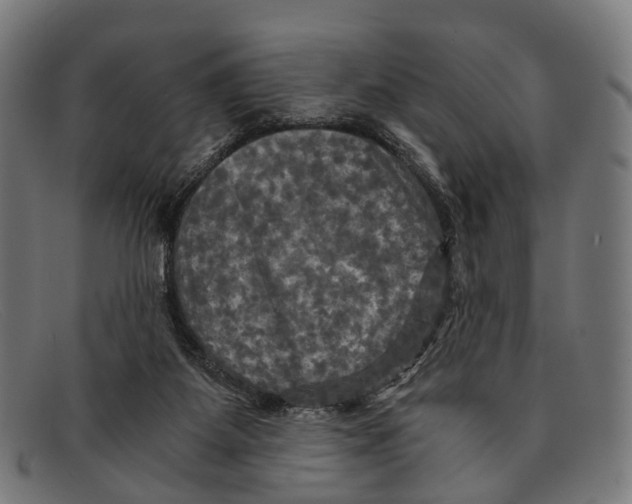 X0000091480115200709131819