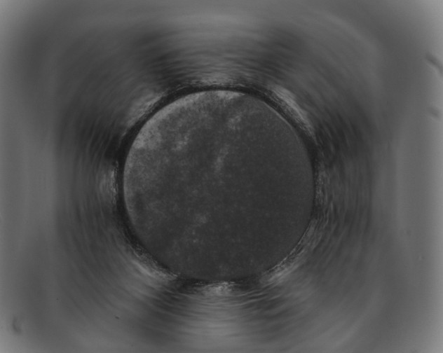 X0000091480116200709131819