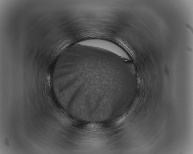 X0000091480117200709131819