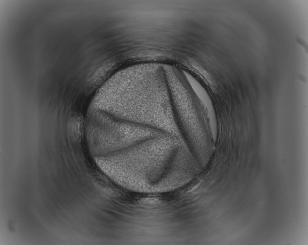 X0000091480119200709131819