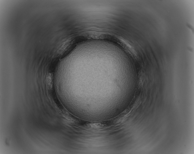 X0000091480121200709131819