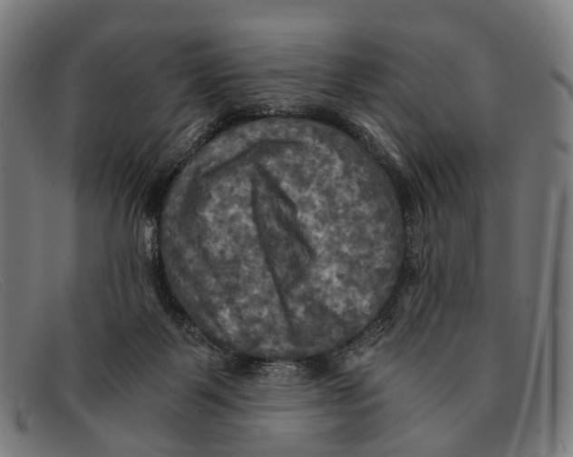 X0000091480123200709131819