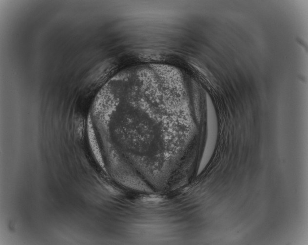 X0000091480125200709131819