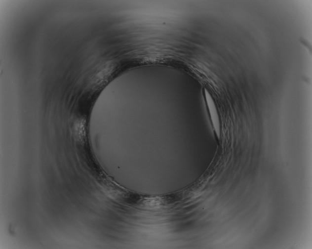 X0000091480127200709131819