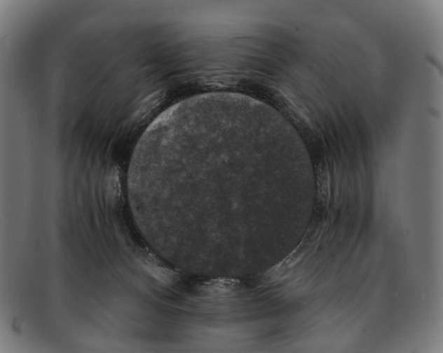 X0000091480128200709131819