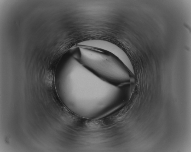 X0000091480129200709131819