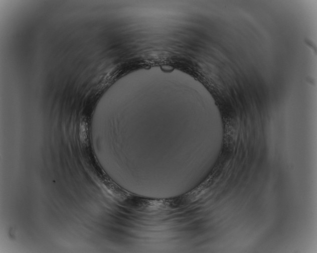 X0000091480130200709131819