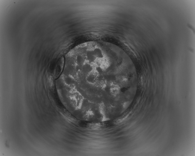 X0000091480131200709131819