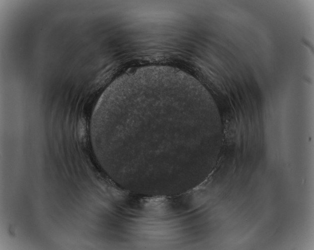 X0000091480132200709131819