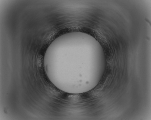 X0000091480133200709131819