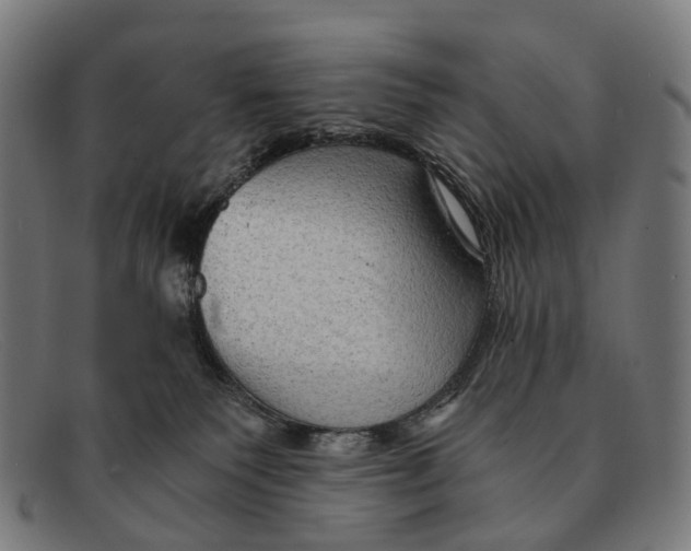 X0000091480135200709131819