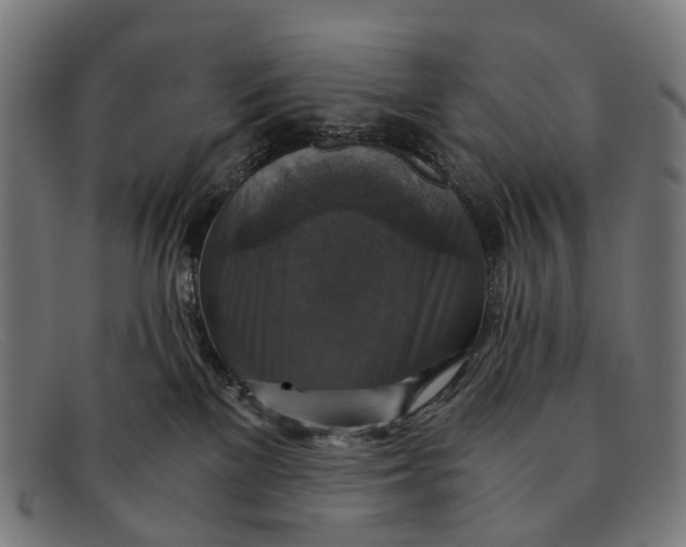 X0000091480137200709131819