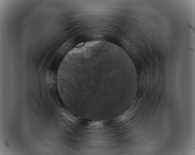 X0000091480140200709131819