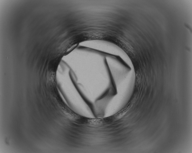 X0000091480141200709131819