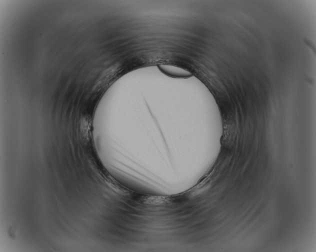 X0000091480142200709131819