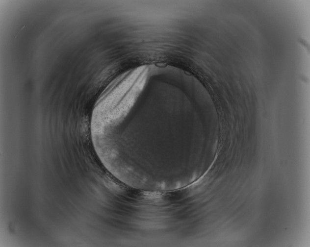 X0000091480144200709131819