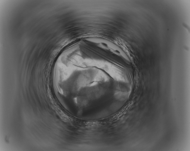 X0000091480145200709131818