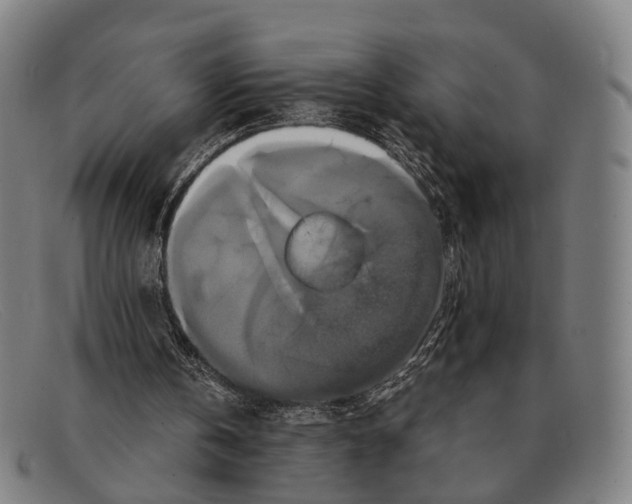 X0000091480146200709131818