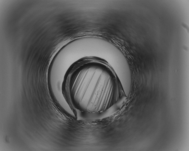 X0000091480148200709131818