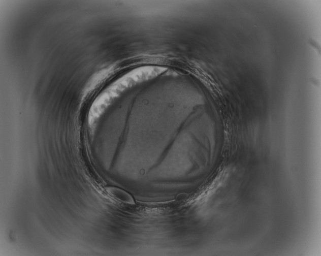 X0000091480149200709131818