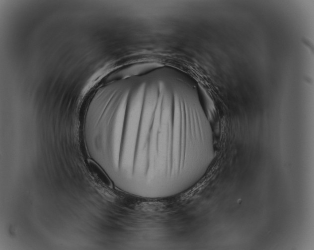 X0000091480150200709131818