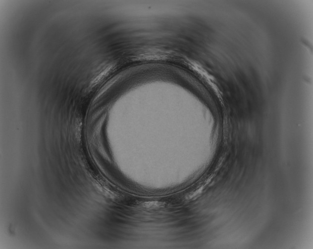 X0000091480153200709131818